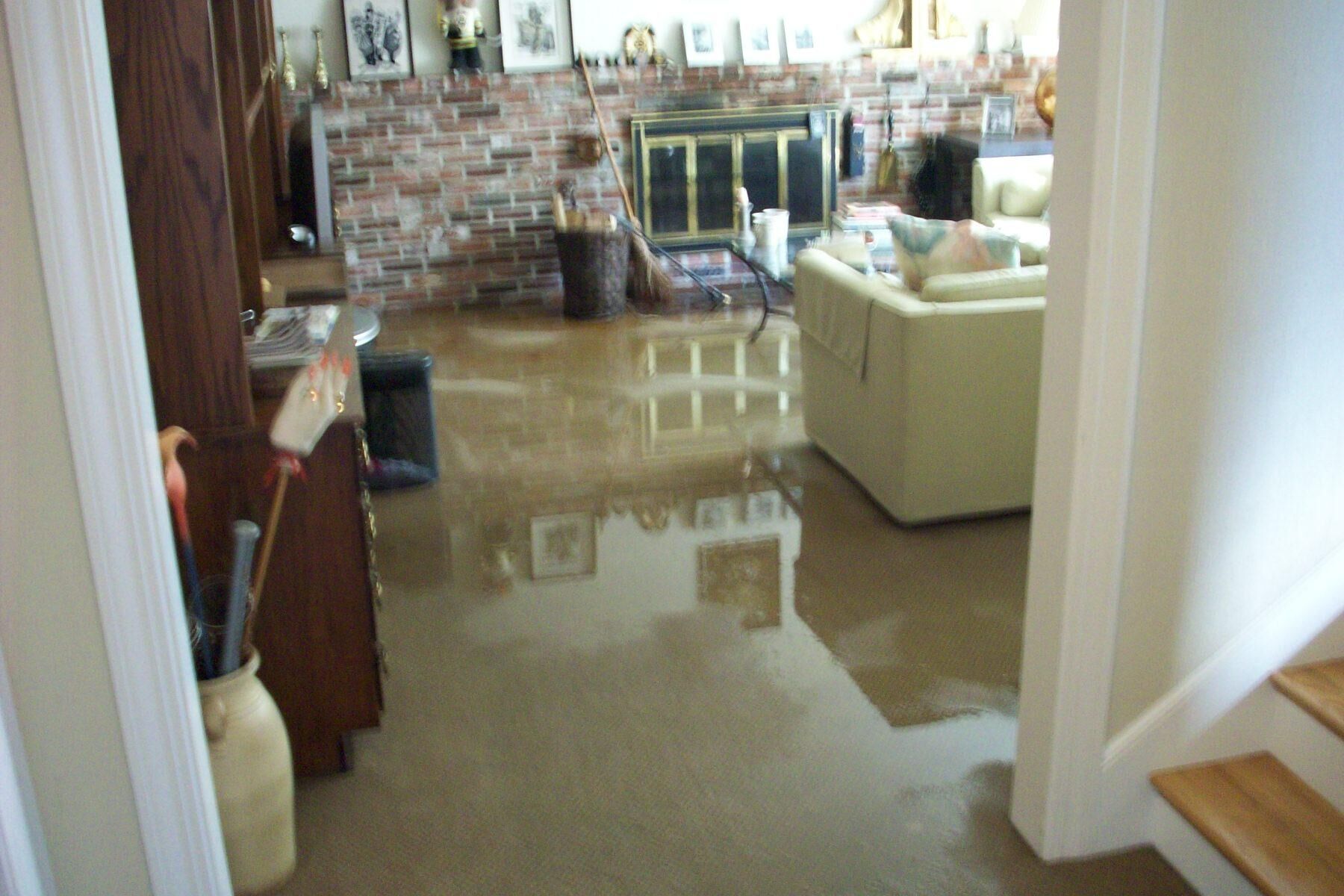 drying-flooded-carpet-flood-auckland-professionals